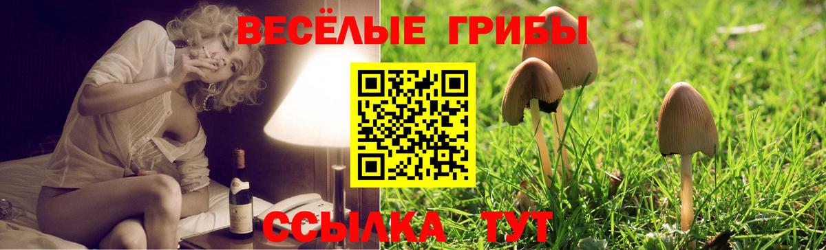 Псилоцибиновые грибы мицелий Белгород