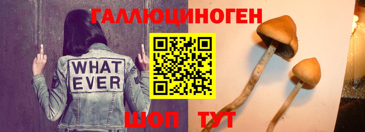 Галлюциногенные грибы мицелий  Вход с VPN  Белгород  Галлюциногенные грибы прущие грибы 