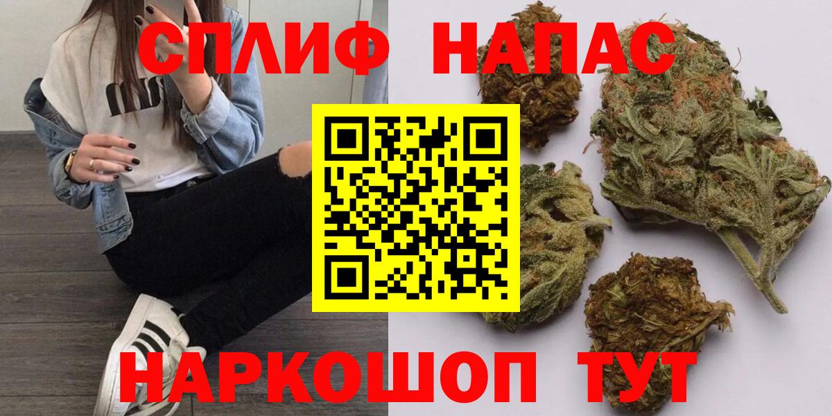 Бошки Шишки семена  Конопля марихуана  Канабис гибрид  Вход с VPN  Белгород 